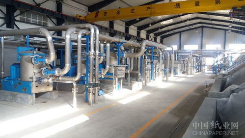 科技創新驅動設備節能環保，惠利造紙業的環保轉型